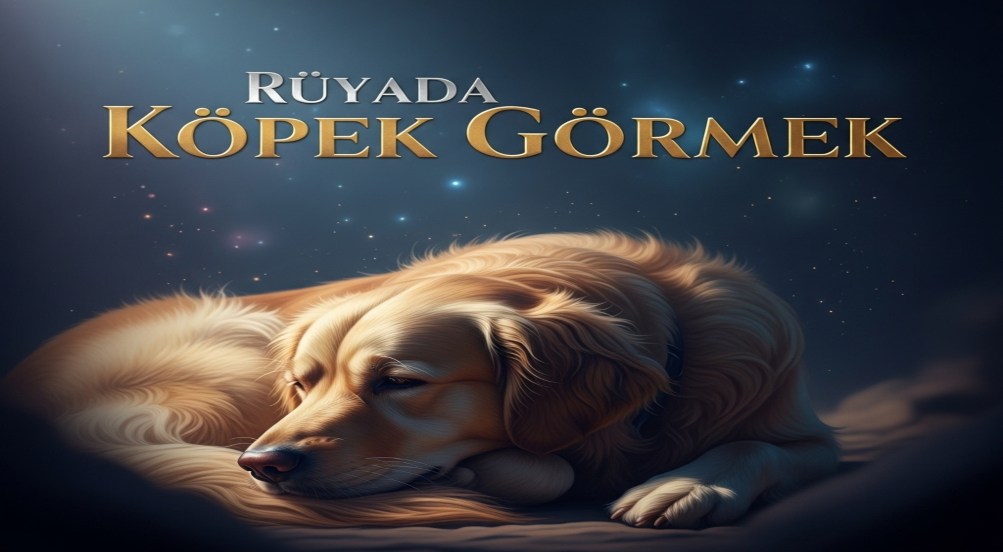 Rüyada Köpek Görmek – Diyanet Yorumu ve İslami Tabirleri
